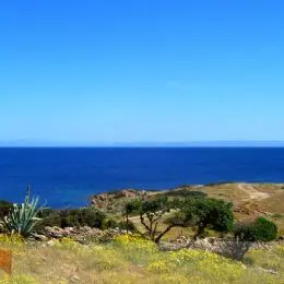 Mare, Asinara