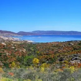 Panorama, Asinara