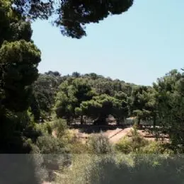 Parco di Monte Urpinu, Cagliari