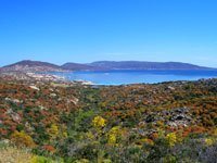 vue d'Asinara