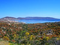 view asinara